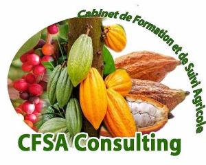 LOGO-CFSA-CONSULTING-678fdcfb1923b.jpg