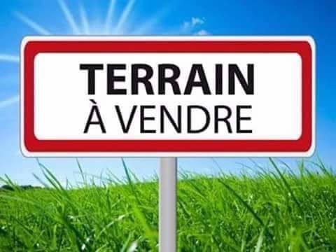 Terrain millionnaire