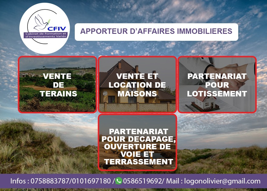 COLLIS IMMOBILIER