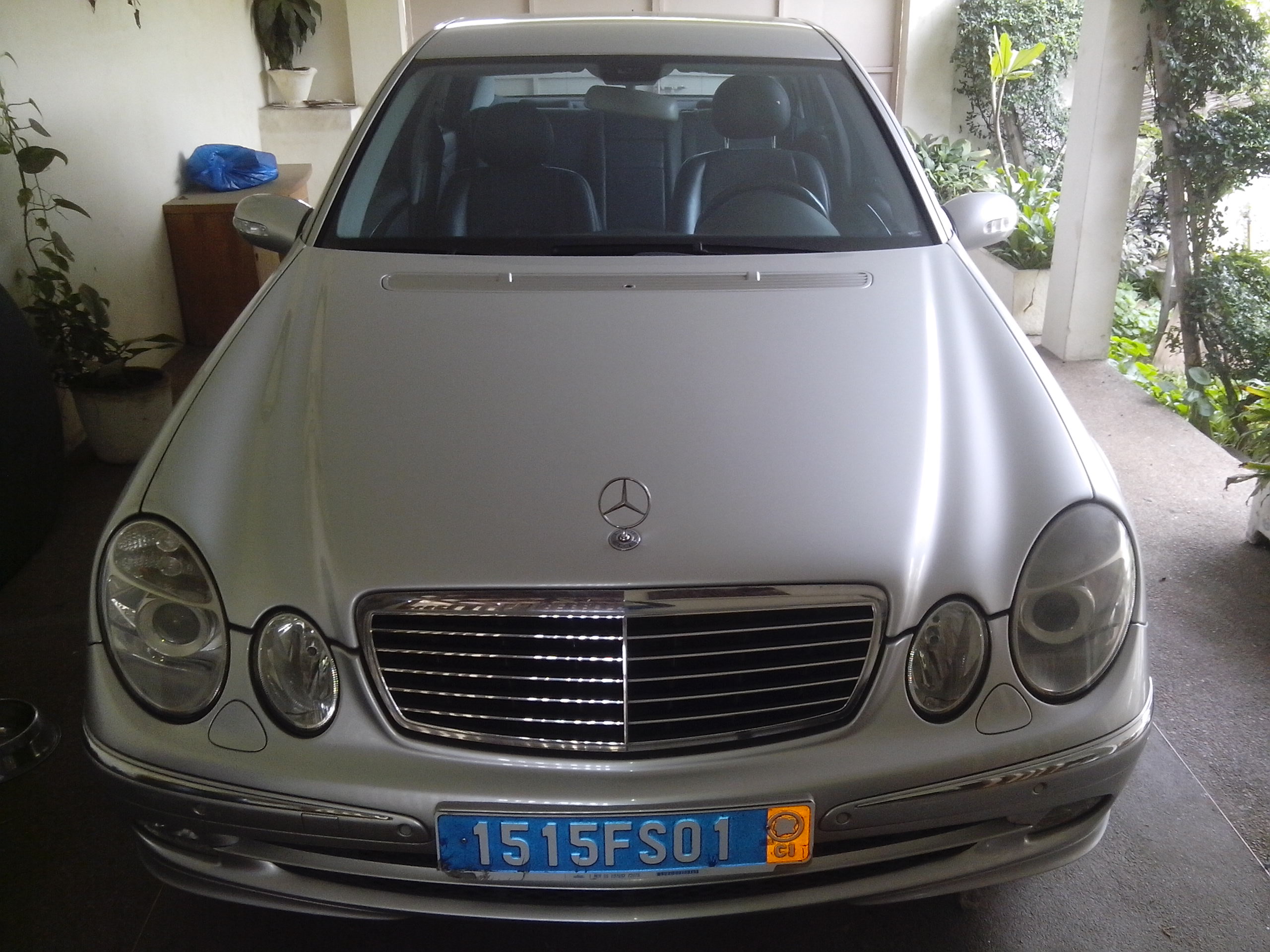 3_105441884.jpg