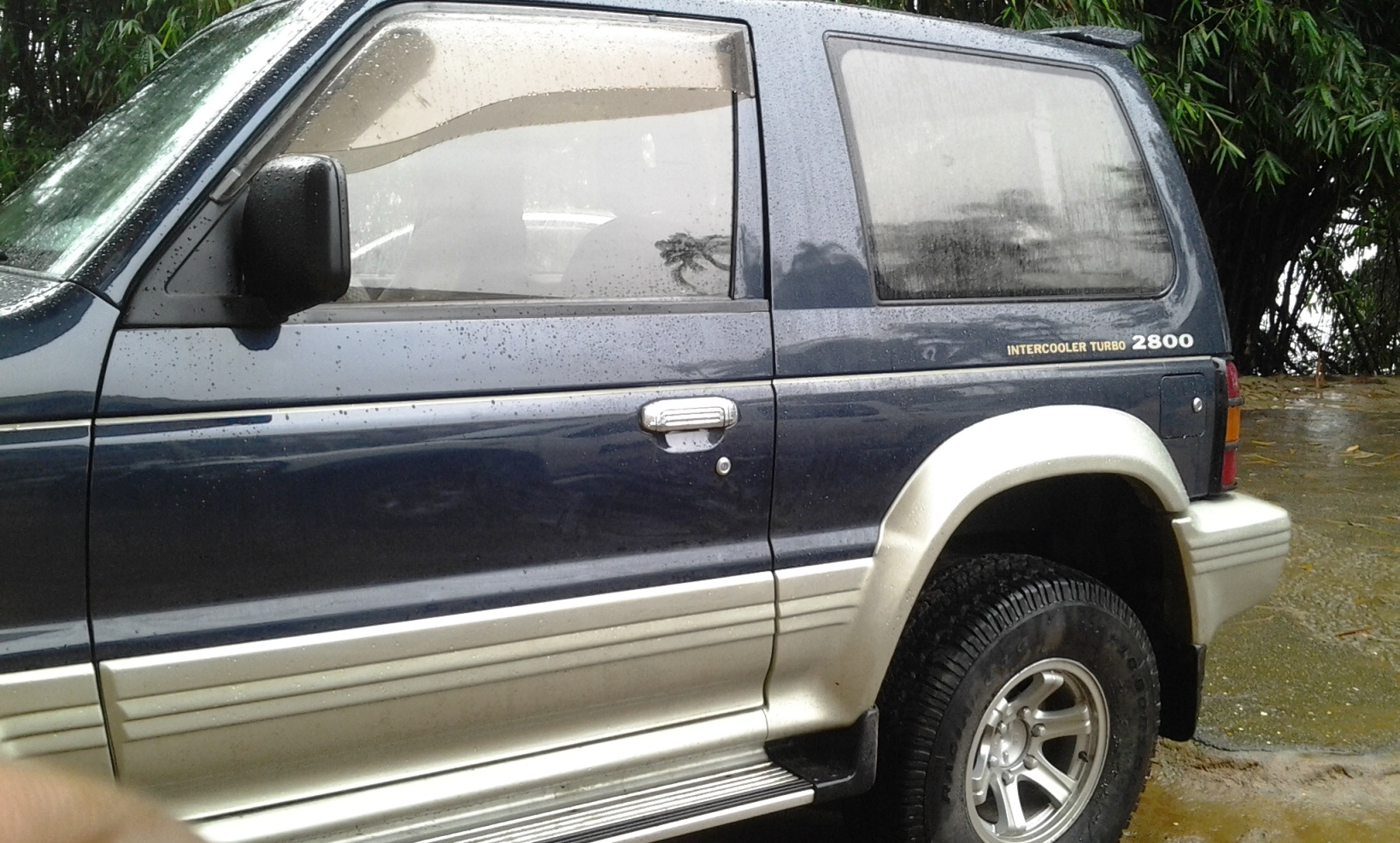 3_38231675.jpg