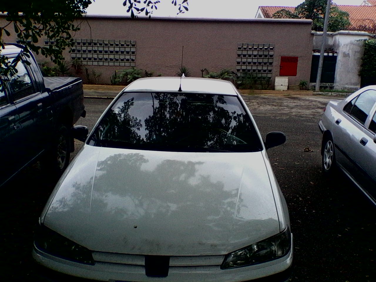 3_439998064.jpg