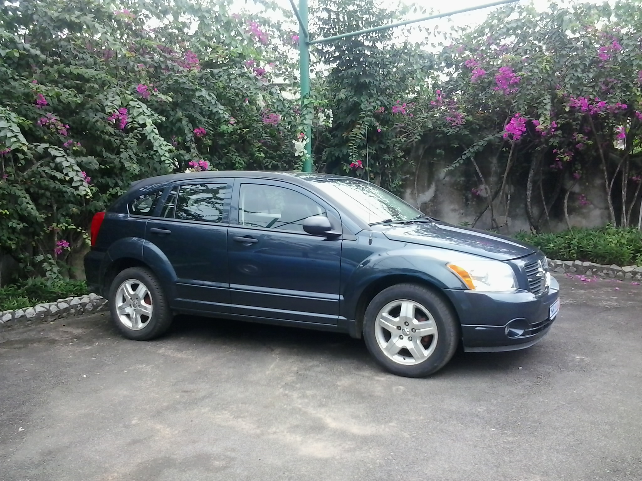 3_52357102.jpg