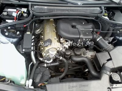 2_564874871.jpg