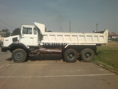 2_726903529.jpg