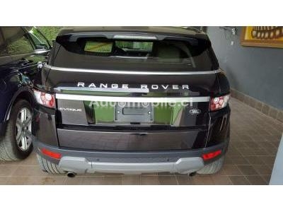 2_88489322466922503.jpg
