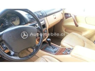 2_887805942.jpg