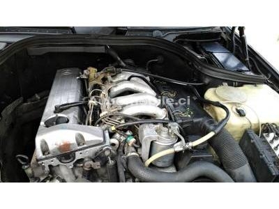 3_64355306972865511.jpg