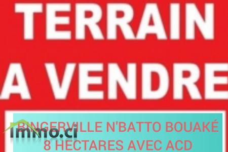 A VENDRE UN TERRAIN DE 8 HECTARES AVEC ACD