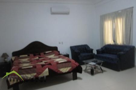 Grand studio meublé