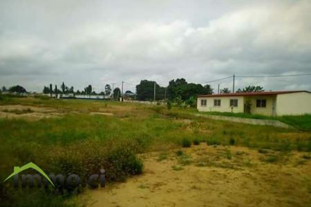 VENTE DE 15 LOTS DE 400 METRES CARRES CHACUN A SONGON AGBAN ATTIE II