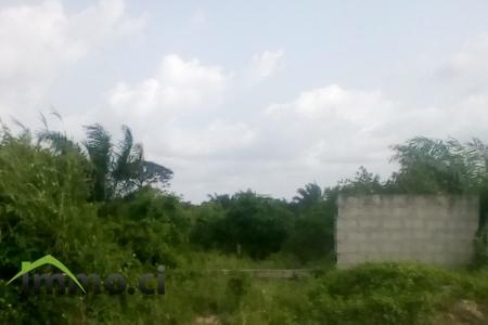 TERRAIN DE 600m² À ANGRÉ CHATEAU