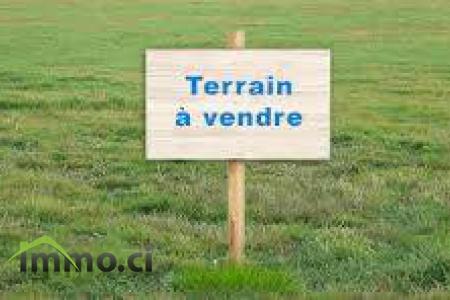 TERRAINS EN VENTE