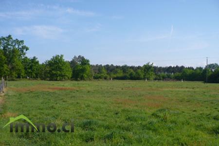 Terrain situé à yamoussoukro