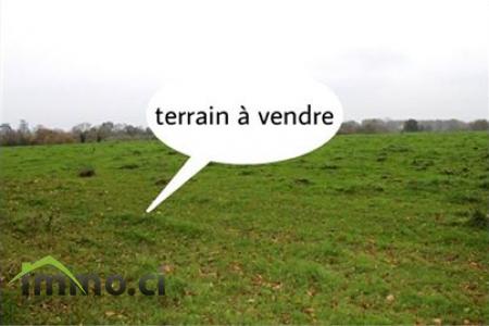 TERRAINS DE 600M2