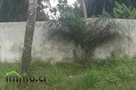 VILLA INACHEVEE sur 2000m²