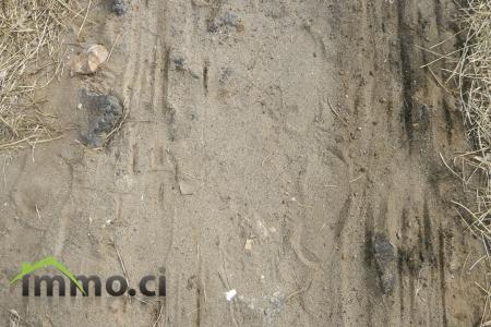 2500M2 AVEC ACD EN BORDURE A LA RIVIERA