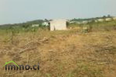 TERRAIN NU 600m²