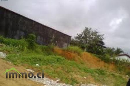 TERRAIN DE 600m2