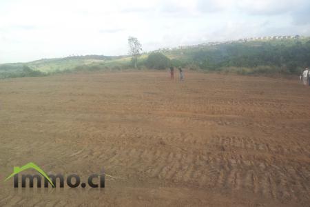 Terrains de 150m2, 300m2, 500m2