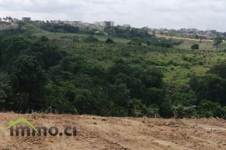 2 hectares de terrains dans la zone d’Angré