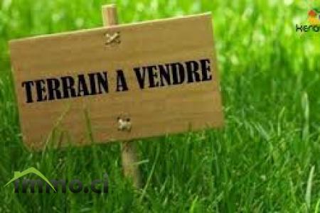 TERRAIN A VENDRE 1013 M²