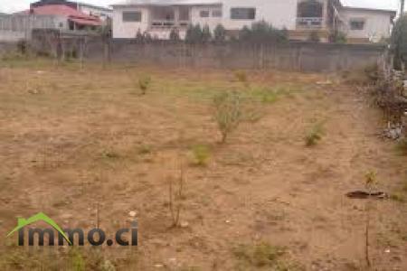 TERRAIN DE 600M2