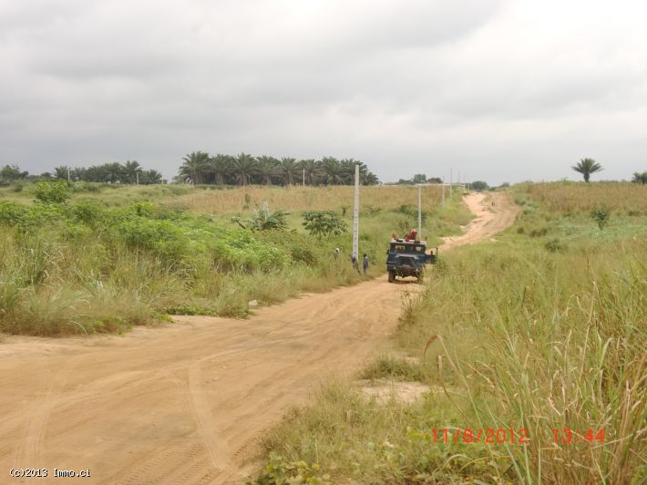 Des terrains de 600 m2