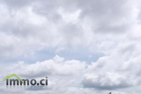 Terrain de 100 Hectares