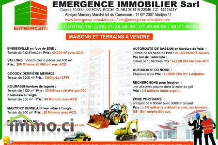 emergence immobilier