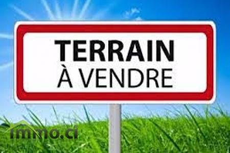 A VENDRE UN TERRAIN DE 1016 AVEC ACD