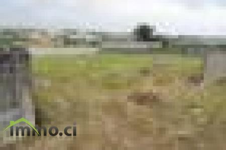Terrain de 500m2
