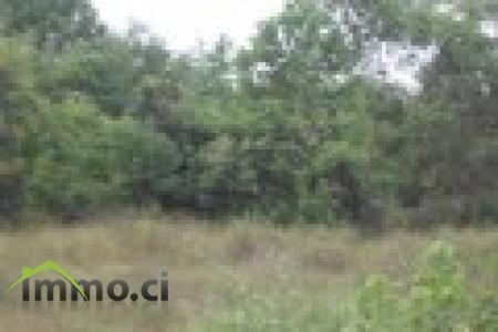 TERRAIN DE 26 HECTARES