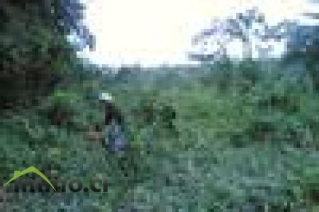 Des Terrain de 400 et 500 m2