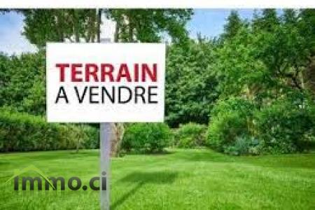 terrain en vente