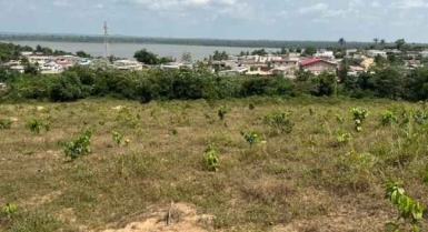 Terrain de 500m2 en vente à bingerville adjin 