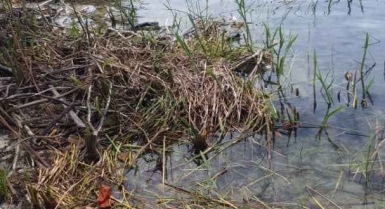 Terrain en bordure de lagune