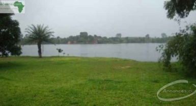 Terrain de 16904 m2 à la riviera abatta