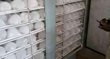 Machine à glace 3xpress et chambre froide