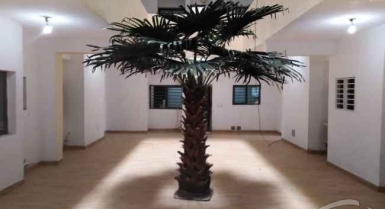 Appartement 2 pièces à cocody