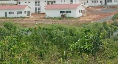 Terrain en vente à yamoussoukro  juste derriÈre l'université privée nanan