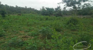 Terrain de 1667 m2 en vente situé au quartier millionnaire