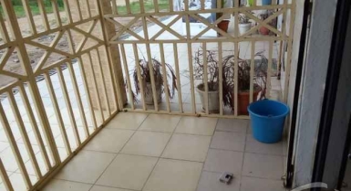 Location de  magazin