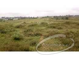 Terrain avec approbation ministeriel