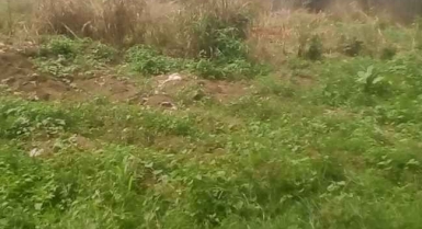 Terrain en vente a angre