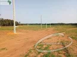 Vente des terrains nouvo chu