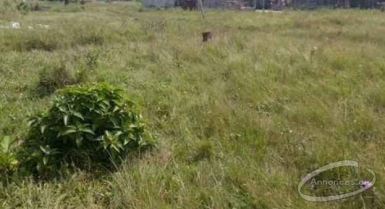 Vente de terrain à bingerville cbao