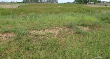 Vente de terrain  nu