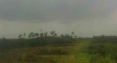 Vente de parcelle de terre de 10 ha