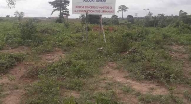 Vente de terrain avec acd  bingerville akoual-agban